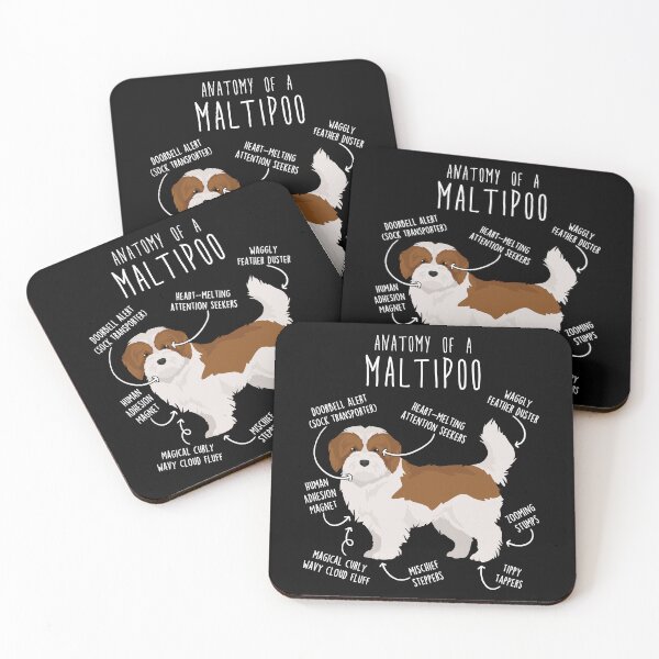 Item preview, Red and White Maltipoo Dog Anatomy designed and sold by Clara Hollins.