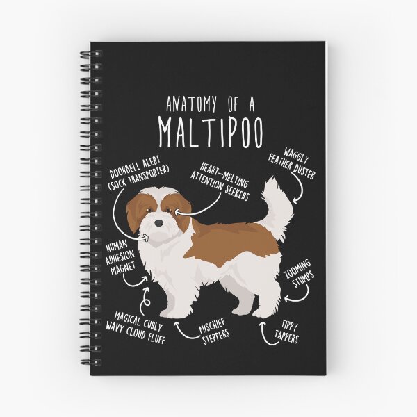 Item preview, Red and White Maltipoo Dog Anatomy designed and sold by Clara Hollins.