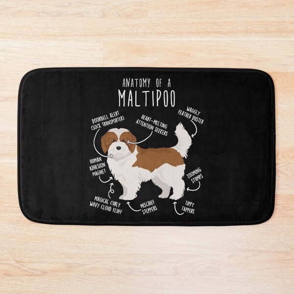 Item preview, Red and White Maltipoo Dog Anatomy designed and sold by Clara Hollins.