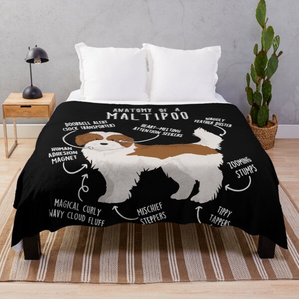 Item preview, Red and White Maltipoo Dog Anatomy designed and sold by Clara Hollins.