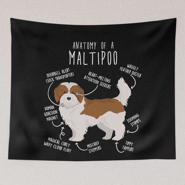 Item preview, Red and White Maltipoo Dog Anatomy designed and sold by Clara Hollins.