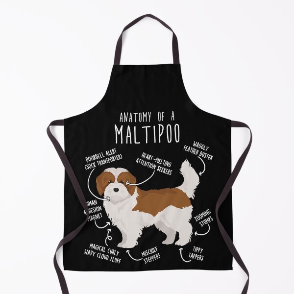 Item preview, Red and White Maltipoo Dog Anatomy designed and sold by Clara Hollins.