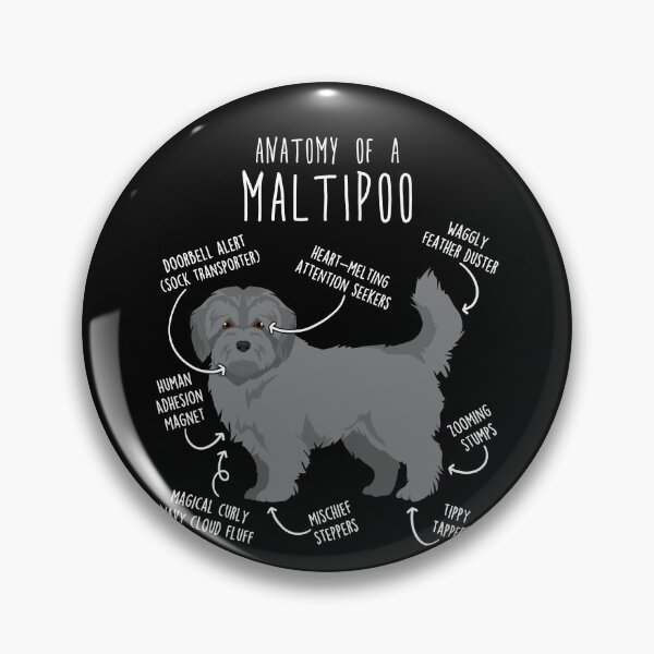 Item preview, Silver Maltipoo Dog Anatomy designed and sold by Clara Hollins.