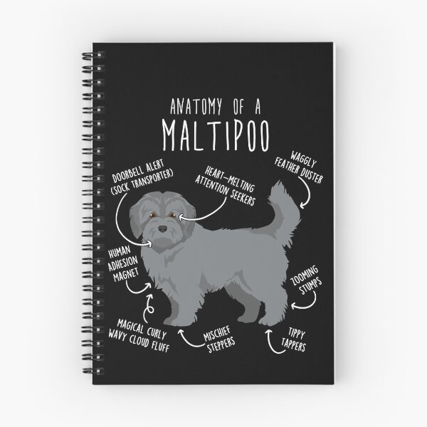 Item preview, Silver Maltipoo Dog Anatomy designed and sold by Clara Hollins.