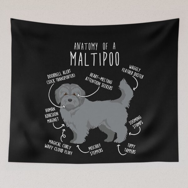 Item preview, Silver Maltipoo Dog Anatomy designed and sold by Clara Hollins.