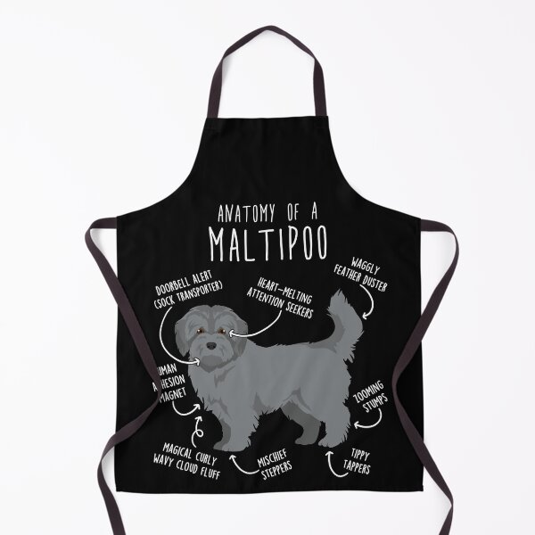 Item preview, Silver Maltipoo Dog Anatomy designed and sold by Clara Hollins.