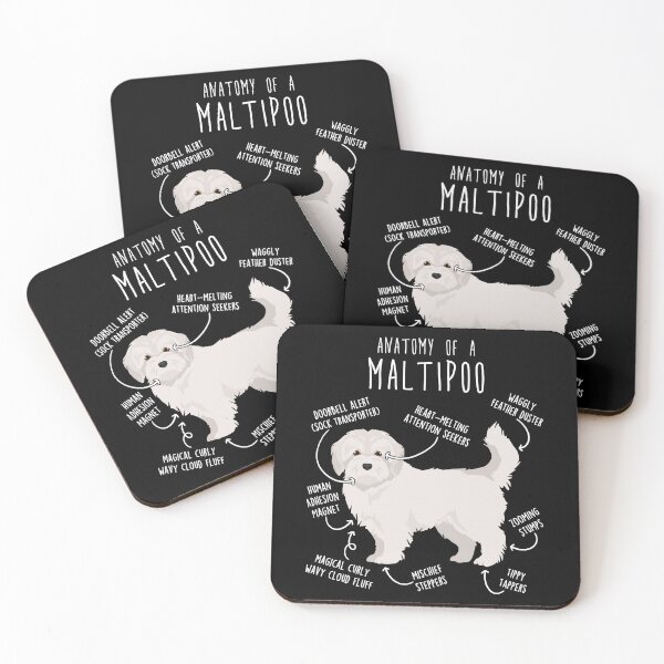 Item preview, Maltipoo Dog Anatomy designed and sold by Clara Hollins.