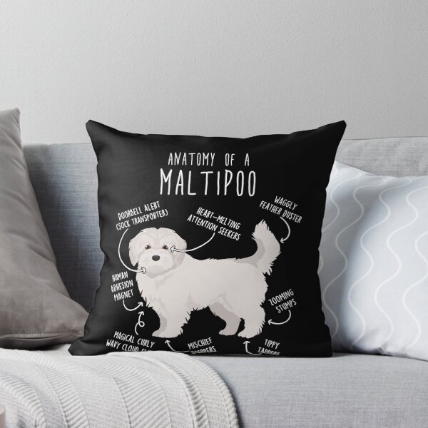 Item preview, Maltipoo Dog Anatomy designed and sold by Clara Hollins.