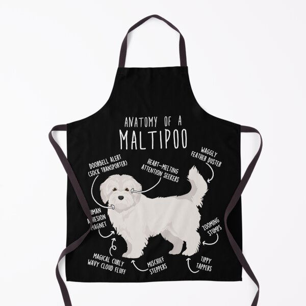 Artikelvorschau, Anatomie des Maltipoo-Hundes entworfen und verkauft von Clara Hollins.