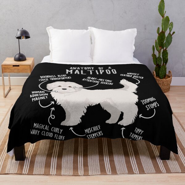 Item preview, Maltipoo Dog Anatomy designed and sold by Clara Hollins.