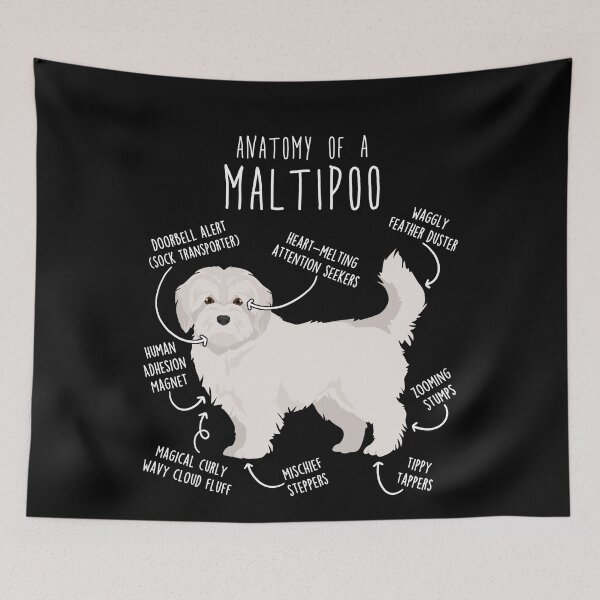Item preview, Maltipoo Dog Anatomy designed and sold by Clara Hollins.