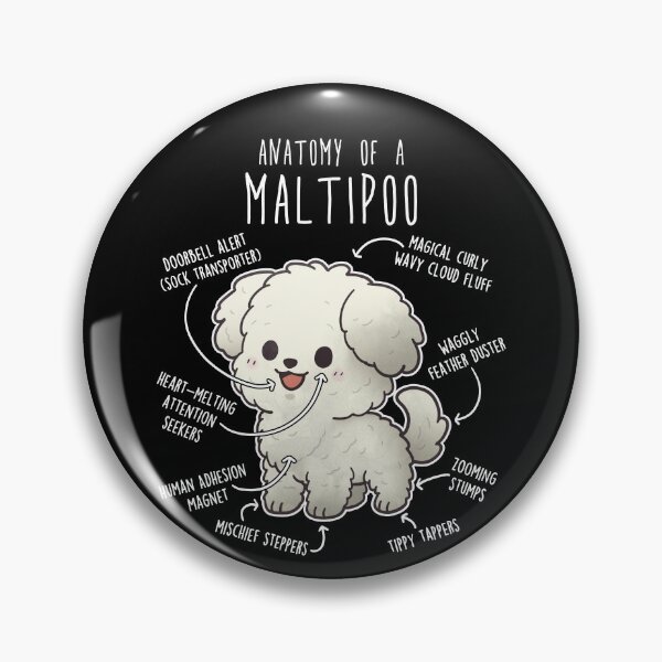 Artikelvorschau, Anatomie des Maltipoo-Hundes entworfen und verkauft von Clara Hollins.
