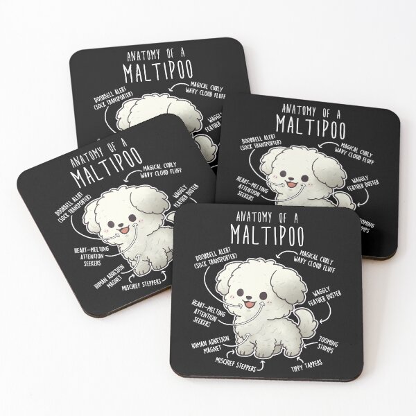 Item preview, Maltipoo Dog Anatomy designed and sold by Clara Hollins.