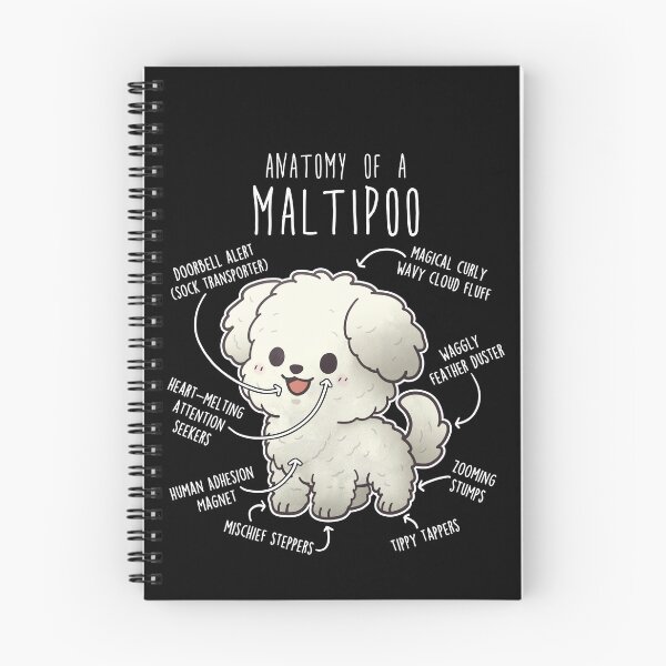 Item preview, Anatomía del perro Maltipoo designed and sold by Clara Hollins.