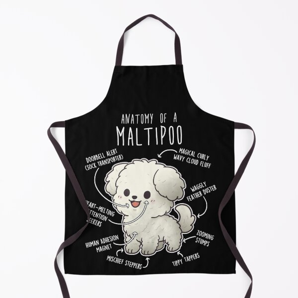 Item preview, Maltipoo Dog Anatomy designed and sold by Clara Hollins.