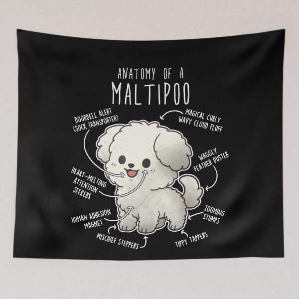 Item preview, Maltipoo Dog Anatomy designed and sold by Clara Hollins.