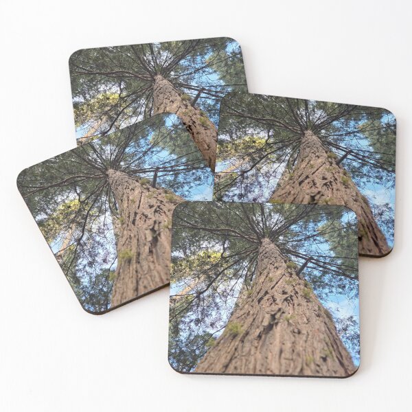 Item preview, Big Tree Forest designed and sold by Betsy Phillips.