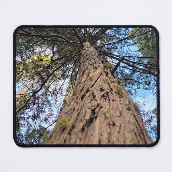 Item preview, Big Tree Forest designed and sold by Betsy Phillips.