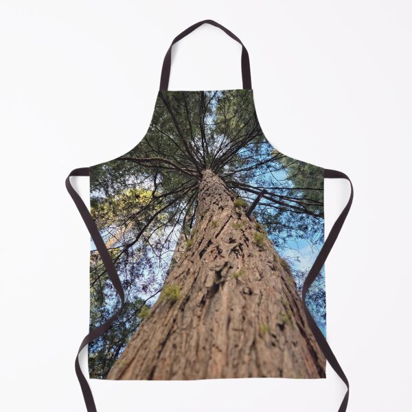 Item preview, Big Tree Forest designed and sold by Betsy Phillips.
