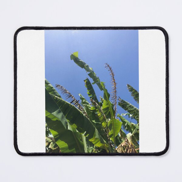 Item preview, Plaintain Trees designed and sold by RevoluGallery.
