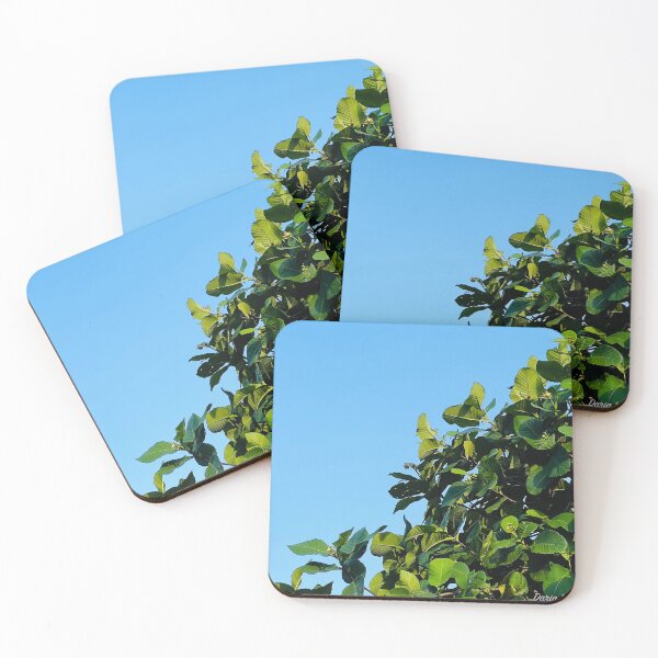 Item preview, One Sunny Day designed and sold by Daria Lev Photo Art.
