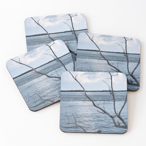 Item preview, Winter in FLA designed and sold by Vlaymon410.