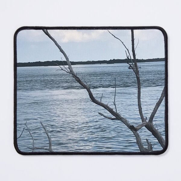 Item preview, Winter in FLA designed and sold by Vlaymon410.