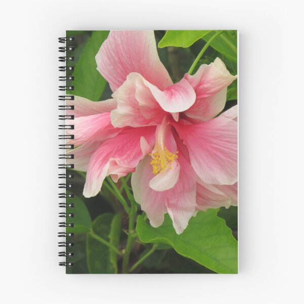 Item preview, Pink Double Hibiscus Flower designed and sold by abacoian.