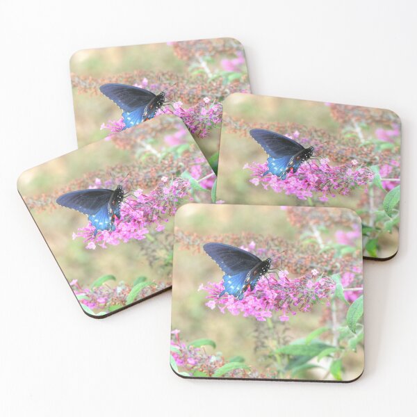 Item preview, Pipevine Swallowtail on Butterfly Bush designed and sold by Frankie Cat Photography.
