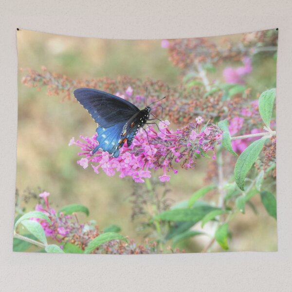 Item preview, Pipevine Swallowtail on Butterfly Bush designed and sold by Frankie Cat Photography.