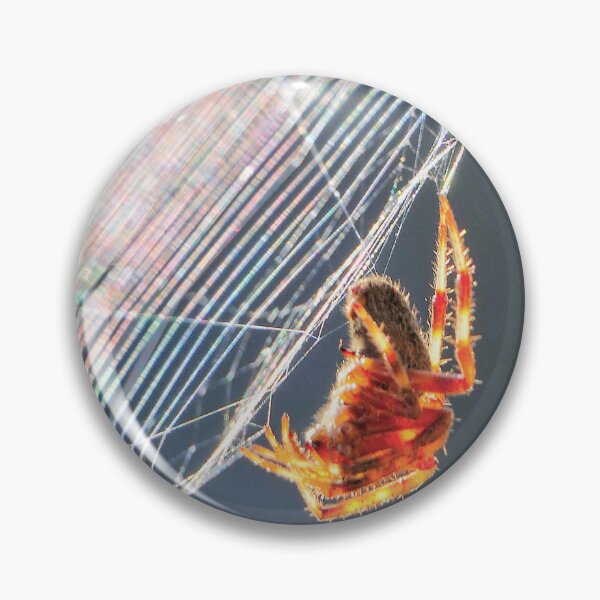 Item preview, Orb Spider on Web designed and sold by Frankie Cat Photography.