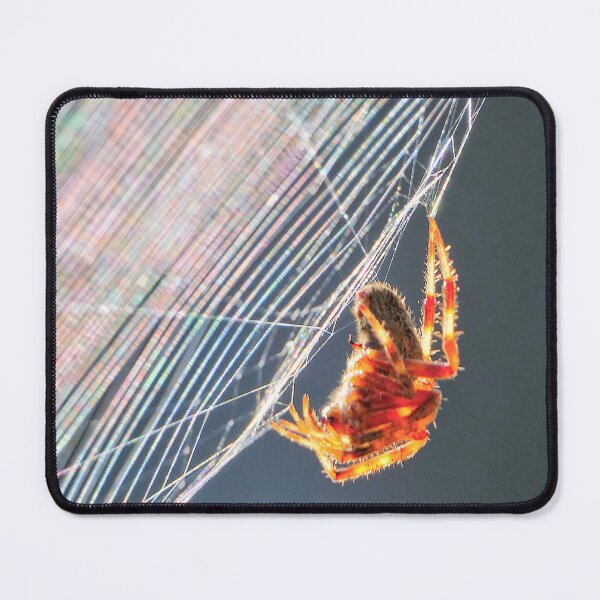 Item preview, Orb Spider on Web designed and sold by Frankie Cat Photography.