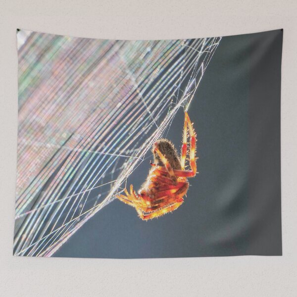 Item preview, Orb Spider on Web designed and sold by Frankie Cat Photography.