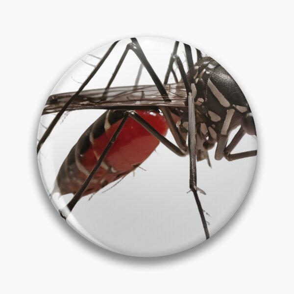 Item preview, Close-Up Aedes Aegypti Mosquito: Dengue, Zika, and Virus Vector designed and sold by Maldives-Art.