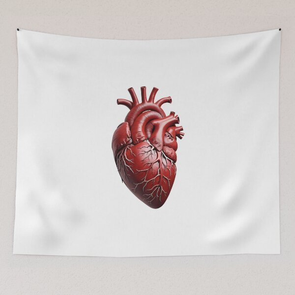 Item preview, Realistic Human Heart designed and sold by Maldives-Art.