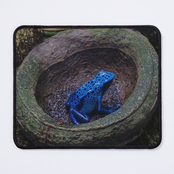 Item preview, Vibrant Blue Frog in Forest designed and sold by Tonigard.