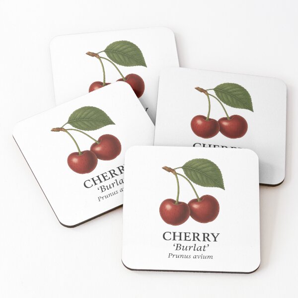Item preview, Cherry ‘Burlat’ – Prunus avium designed and sold by BloomKind.