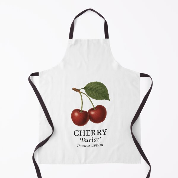 Item preview, Cherry ‘Burlat’ – Prunus avium designed and sold by BloomKind.