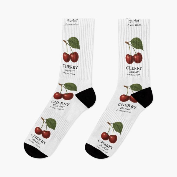 Item preview, Cherry ‘Burlat’ – Prunus avium designed and sold by BloomKind.