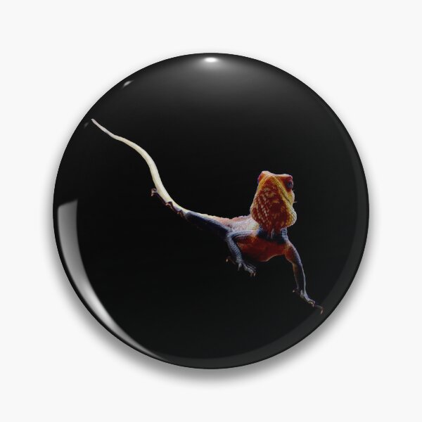 Item preview, Lizard – Curious movement in the dark / Swiss Artwork Photography designed and sold by Raphael Wolf.
