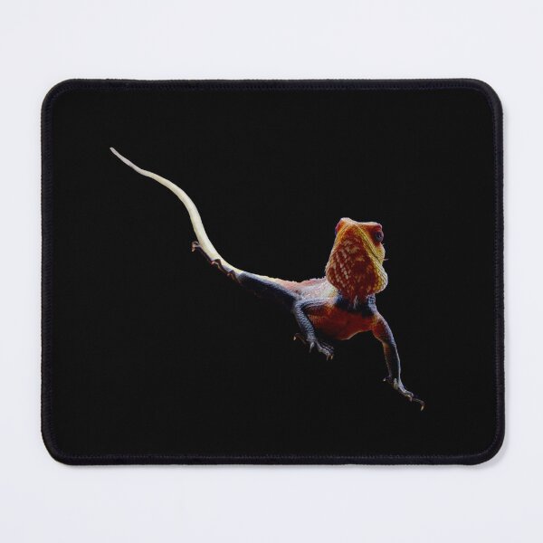 Item preview, Lizard – Curious movement in the dark / Swiss Artwork Photography designed and sold by Raphael Wolf.