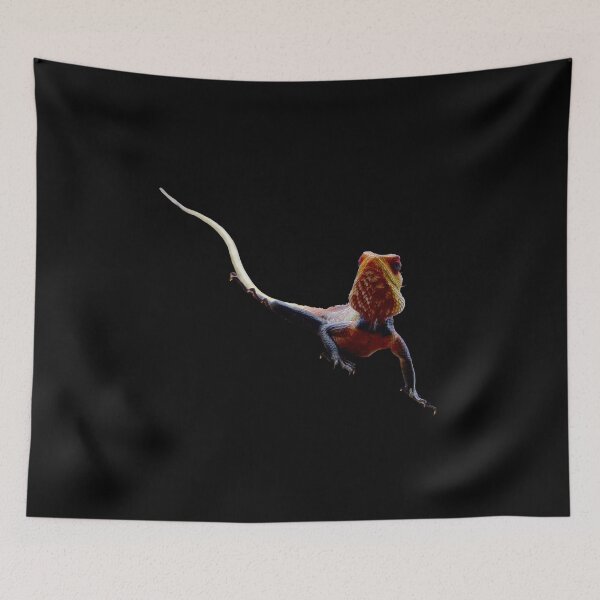 Item preview, Lizard – Curious movement in the dark / Swiss Artwork Photography designed and sold by Raphael Wolf.