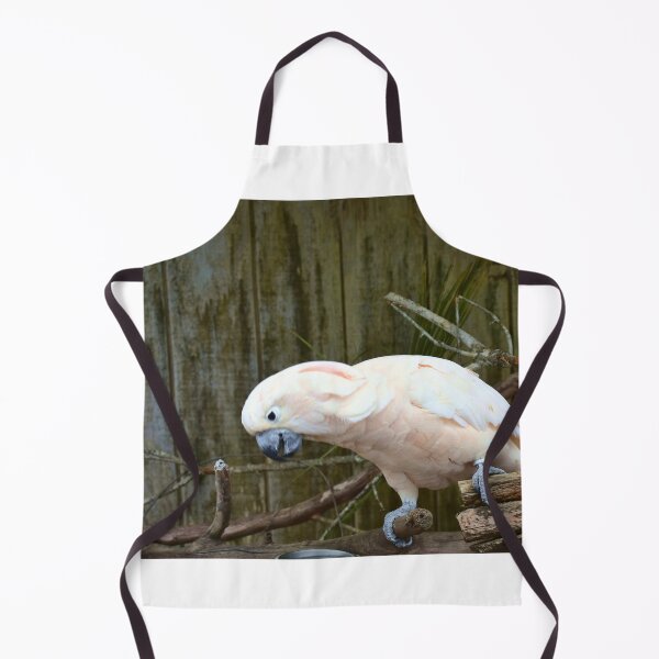 Item preview, Sulphur-crested Cockatoo Perched on a Branch designed and sold by MercerImages.