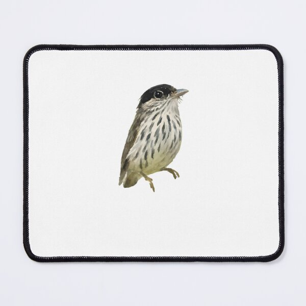 Item preview, African Broadbill (Smithornis capensis) designed and sold by HOMETOWN86.