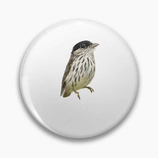 Item preview, African Broadbill (Smithornis capensis) designed and sold by HOMETOWN86.