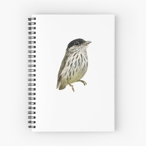 Item preview, African Broadbill (Smithornis capensis) designed and sold by HOMETOWN86.