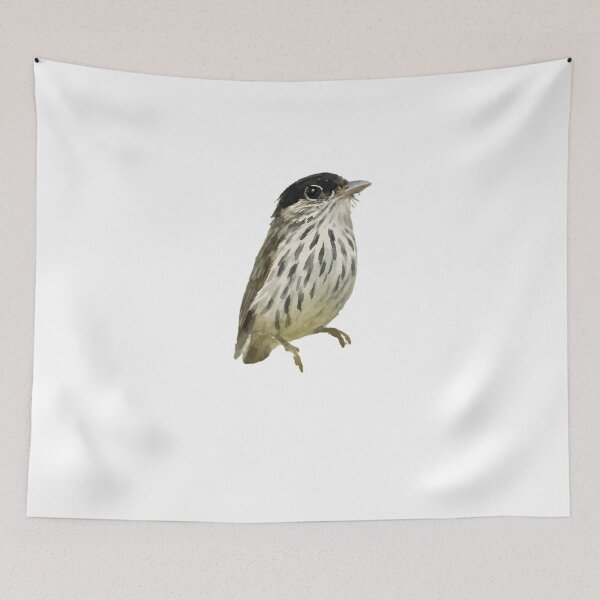 Item preview, African Broadbill (Smithornis capensis) designed and sold by HOMETOWN86.
