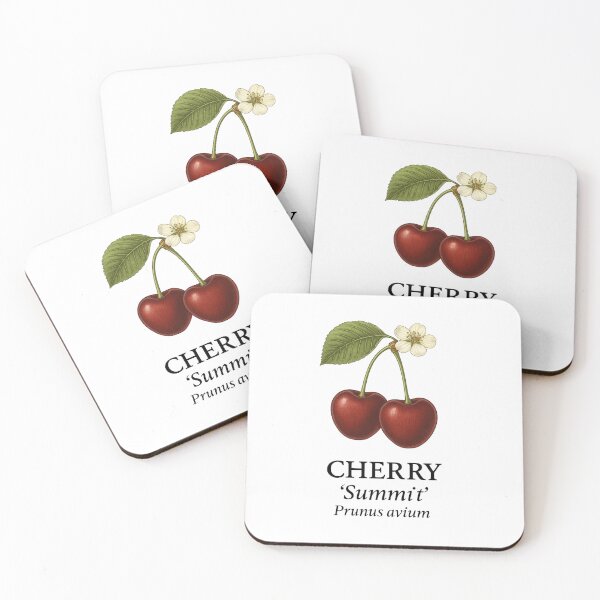 Item preview, Cherry ‘Summit’ – Prunus avium designed and sold by BloomKind.
