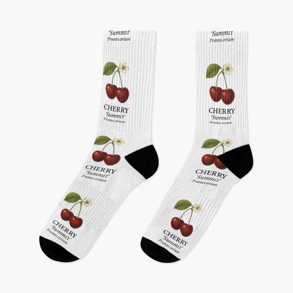 Item preview, Cherry ‘Summit’ – Prunus avium designed and sold by BloomKind.