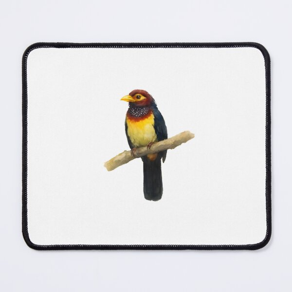Item preview, Yellow-billed Barbet (Trachyphonus purpuratus) designed and sold by HOMETOWN86.
